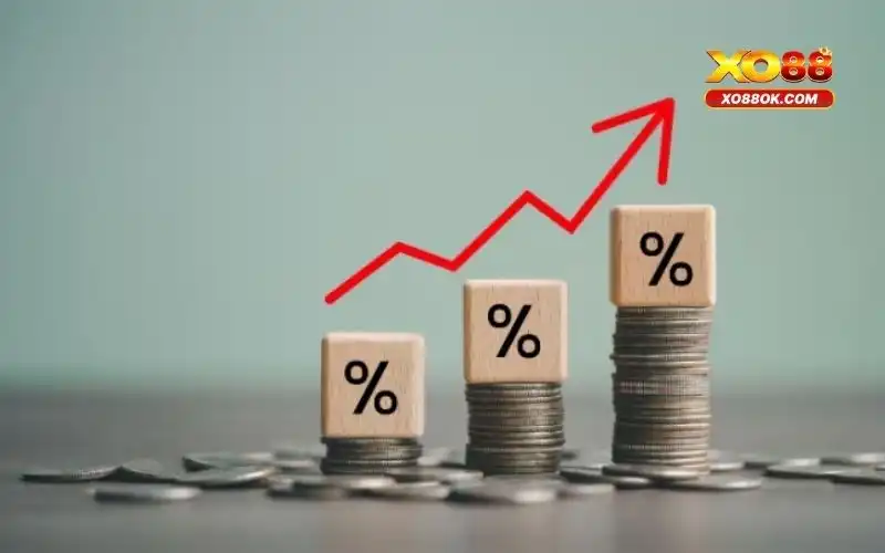 Quyền Và Nghĩa Vụ Của Người Chơi Tại Xo88 - Cập Nhật Mới